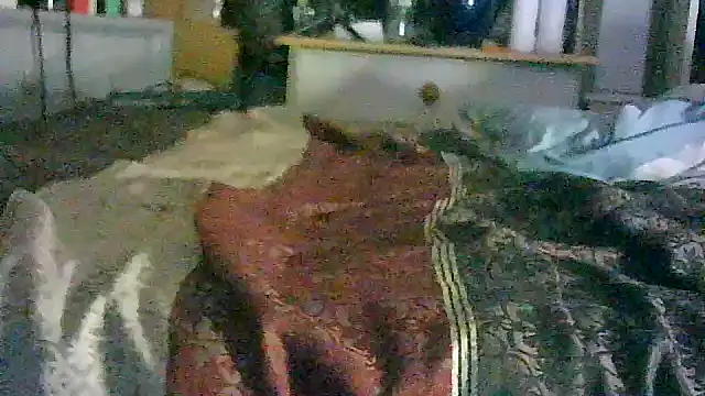 Show webcam de CR3M3_FIR3