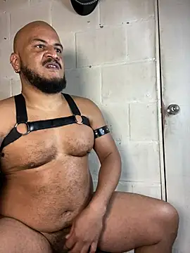 Chat XXX en directo de the_master_foal_