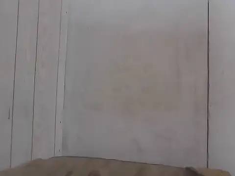 Prikev38452 Webcam show