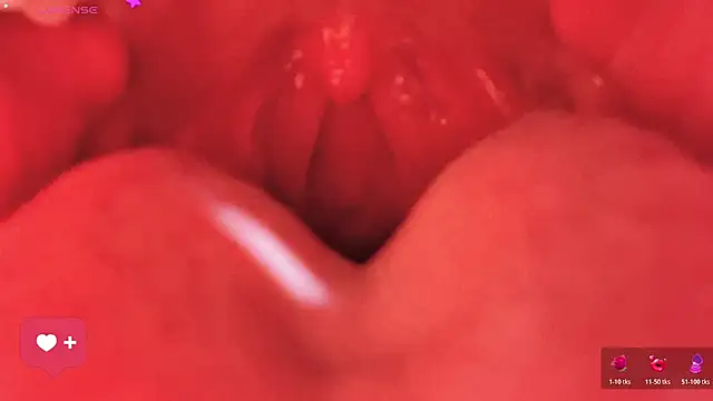 Vesper-333 Show Webcam