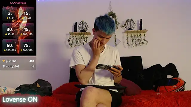 nicktorn Webcam-Show