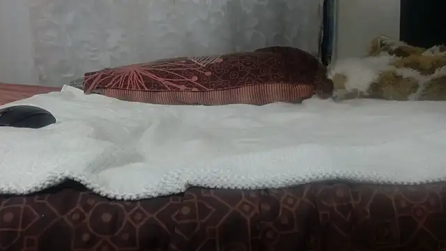 Živý XXX chat Bunnyxx01