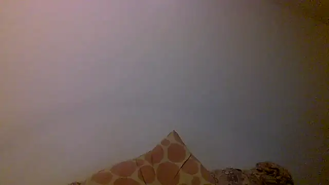 Kaappi1967 – Live XXX-chat