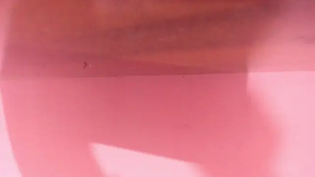 Love_Winss Live XXX-chat