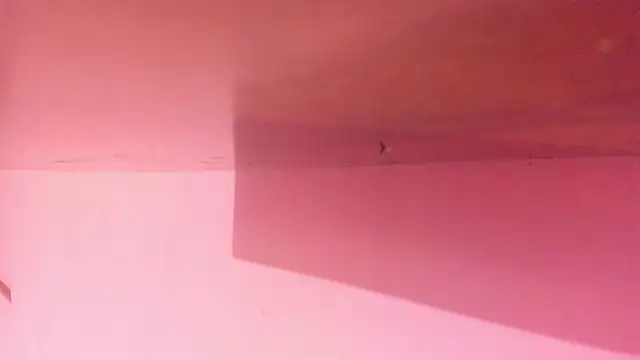 Love_Winss XXX чат на живо
