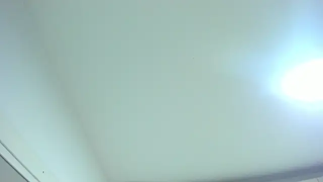 TaylorBloom's Live Chat Room