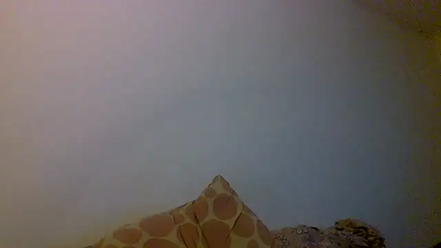 Kaappi1967 live XXX chat
