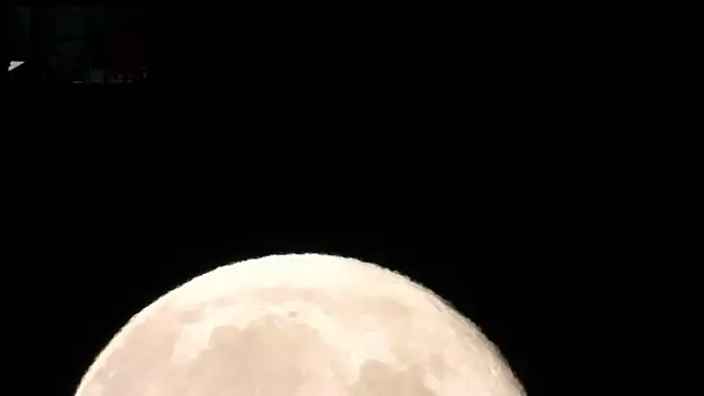 somaticeros 现场XXX聊天