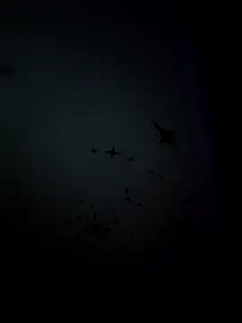 mmmmmnnbbgのウェブカメラショー