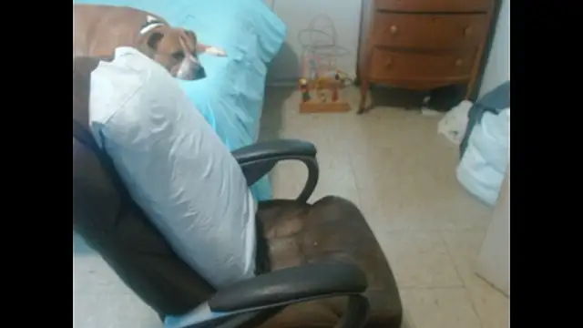 DADDY_KANE8--- – webcam-show