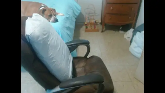 Chat XXX ao vivo de DADDY_KANE8---