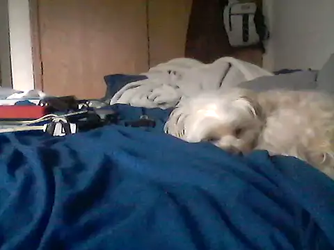 Živý XXX chat Silencio26