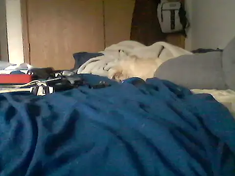 Chat XXX en directo de Silencio26
