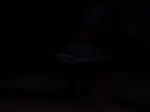 6_inches_dickn Webbikameraesitys