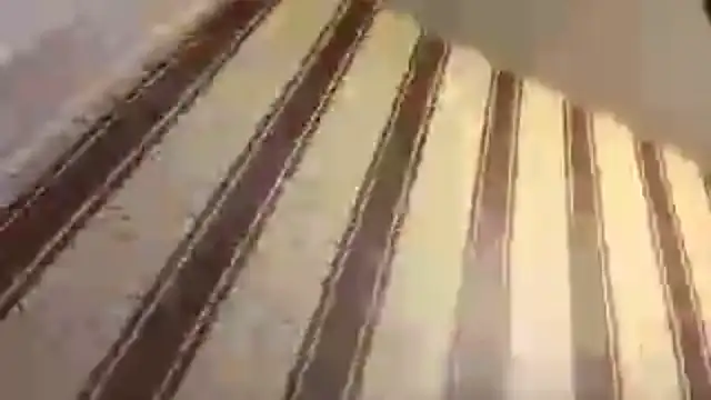 Snowmilly's Live XXX Chat