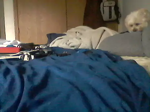 Silencio26 Chat XXX in diretta