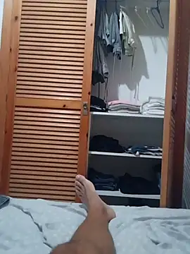 Pillarpen Webbikameraesitys