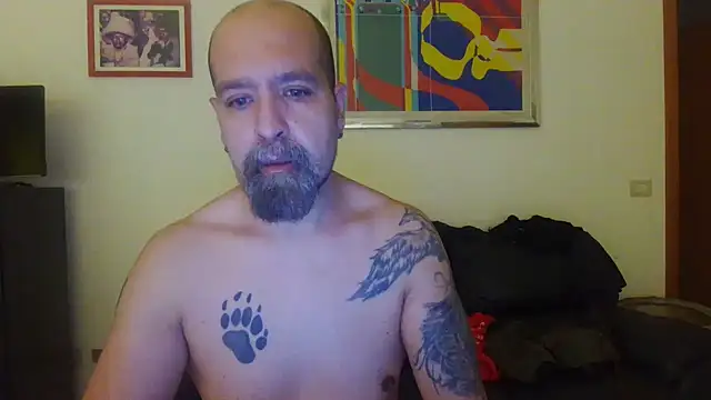 Show webcam de AMIRDIB2025