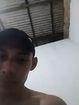 Show de gingavi na webcam