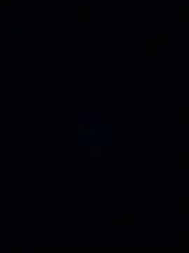musehi17 Show Webcam