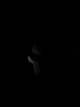 _in_cognito Webcamshow