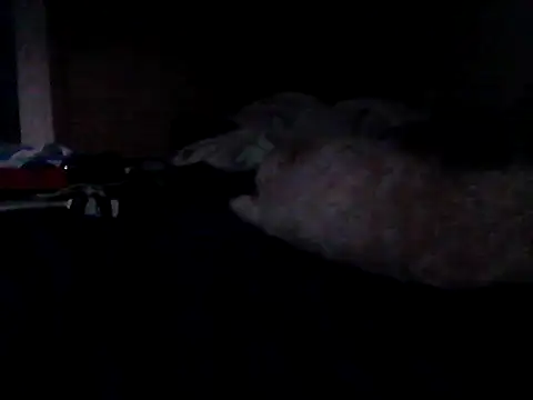 Silencio26's Live XXX Chat