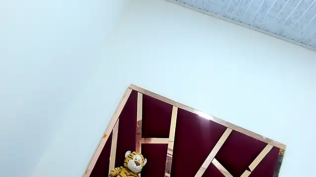 Shelet_Cooni_Ts Webcam-Show