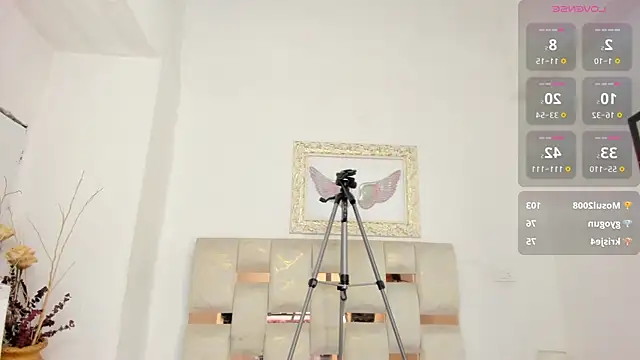 Salo_Duartten Webbikameraesitys
