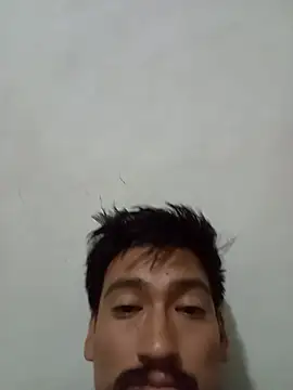 stefamholmes Live XXX-chat