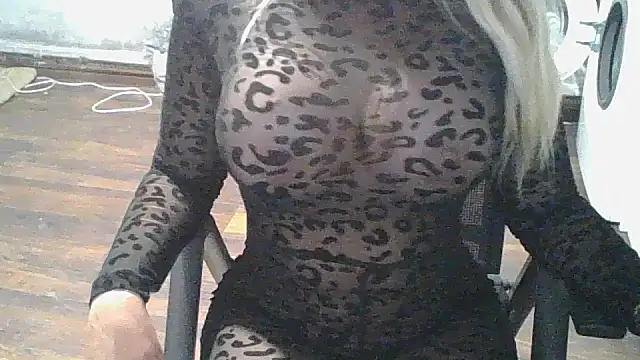 AnyBase's Live XXX Chat