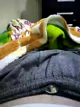 Show de webcam de Gallanttrox