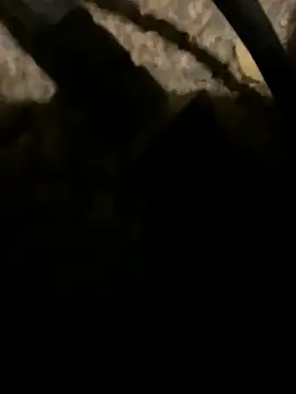 charactrzero élő XXX-chatje