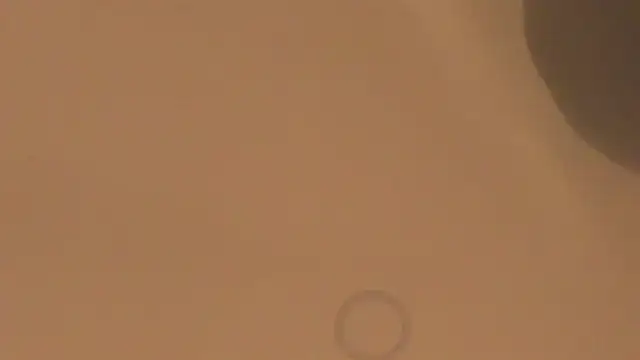Chat +18 de silvanarosse_ ao vivo