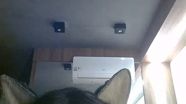 SkinnyKitten's Live XXX Chat