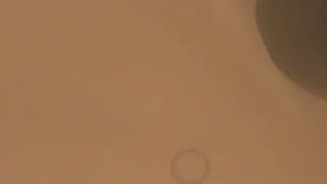 silvanarosse_'s Live XXX Chat