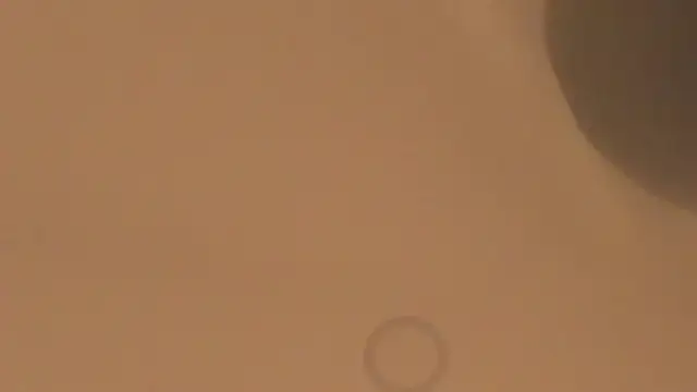 silvanarosse_'s Live XXX Chat