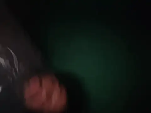 Toycockhot Show in webcam