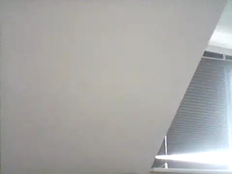 FleshlightFan Pertunjukan Webcam