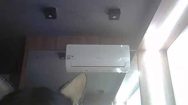 Show de webcam de SkinnyKitten