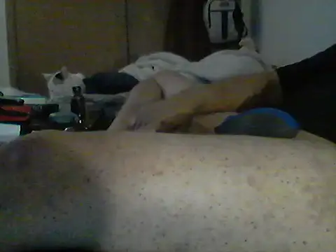 Silencio26 Live XXX-chat