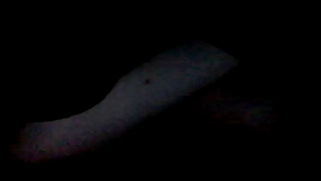 Webkamerová show yourtransmanfantasy