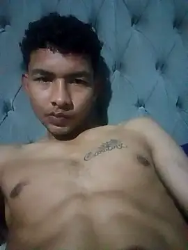 averth Show in webcam