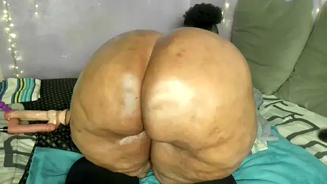wilmaassylum Live XXX-chat