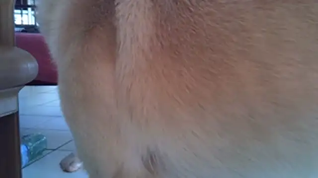 Damn_bro23 Adlı Modelin Canlı XXX Sohbeti