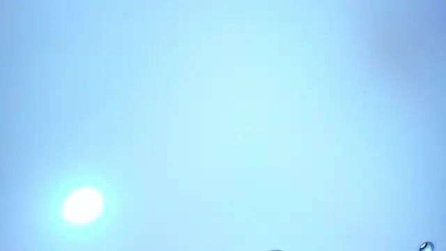CandyDance1_ – Live XXX-chat