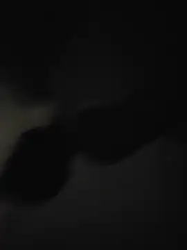 piggylatino webkamerás műsora
