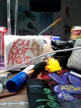 Dunkas69n Webbikameraesitys