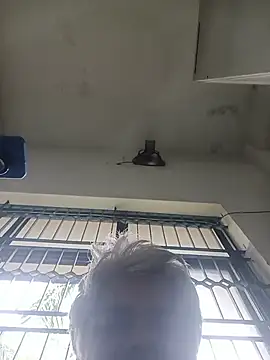Show webcam de balusumi66