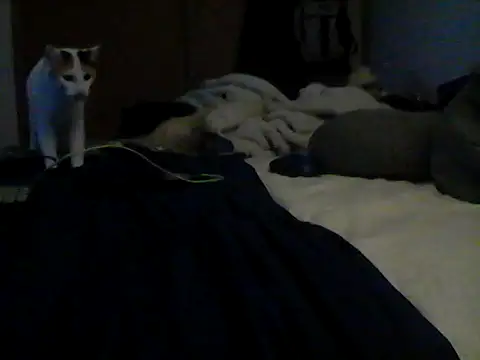 Živý XXX chat Silencio26