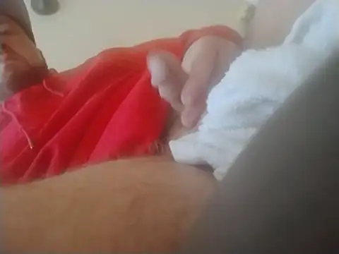 Show Webcam de priceC411